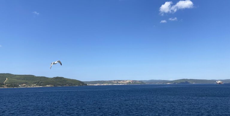 Dardaneli moreuz